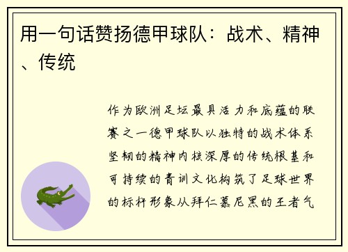 用一句话赞扬德甲球队：战术、精神、传统